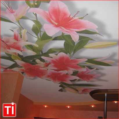 Pretul pentru tavane imprimate